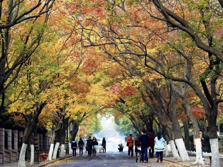 山东青岛旅游攻略景点必去 | 青岛