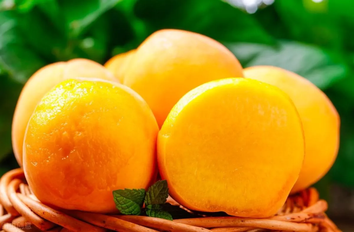目前全国最好的桃品种 | 盘点国内十大优质桃子品种
