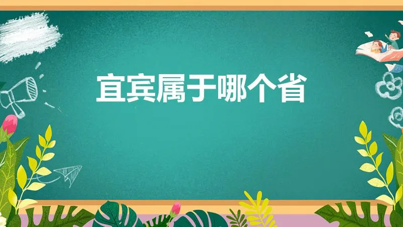 宜宾属于哪个省 | 宜宾是哪个省的城市