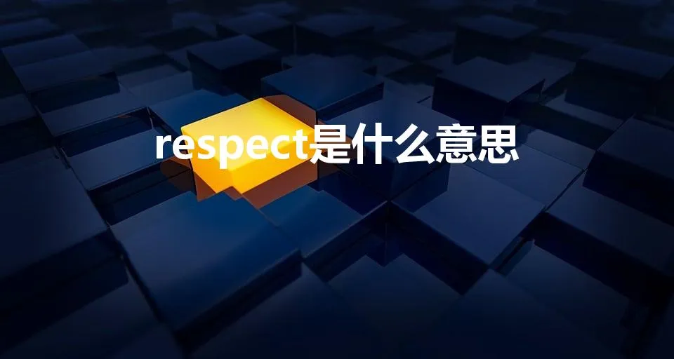 respect是什么意思 | respect 是什么意思